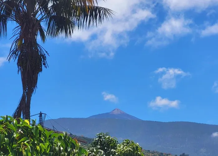 Orotava Garden House Perfect For Families 度假居