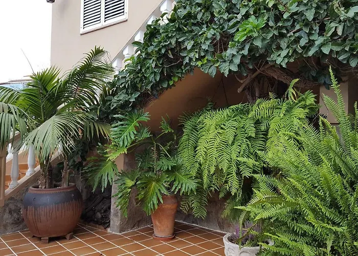 Orotava Garden House Perfect For Families 度假居 拉奥罗塔瓦