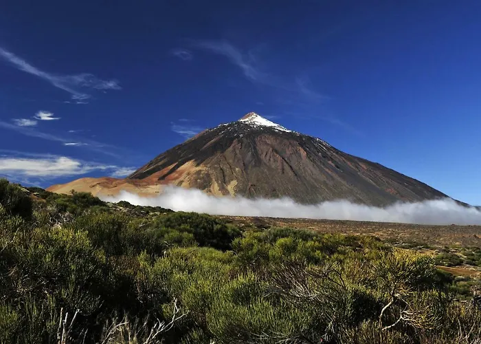 Orotava Garden House Perfect For Families 度假居 拉奥罗塔瓦